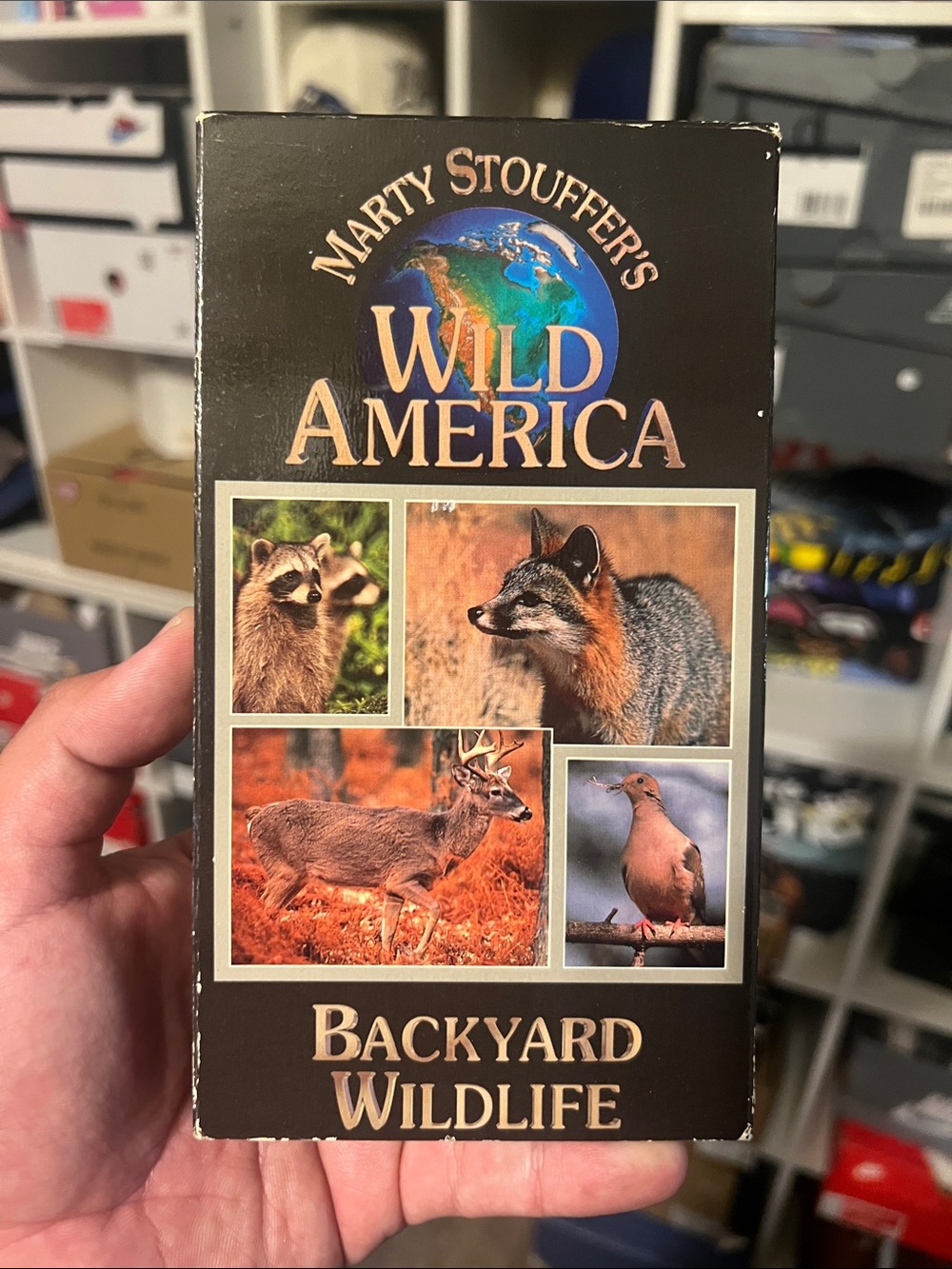 Wild America Backyard Wildlife VHS
